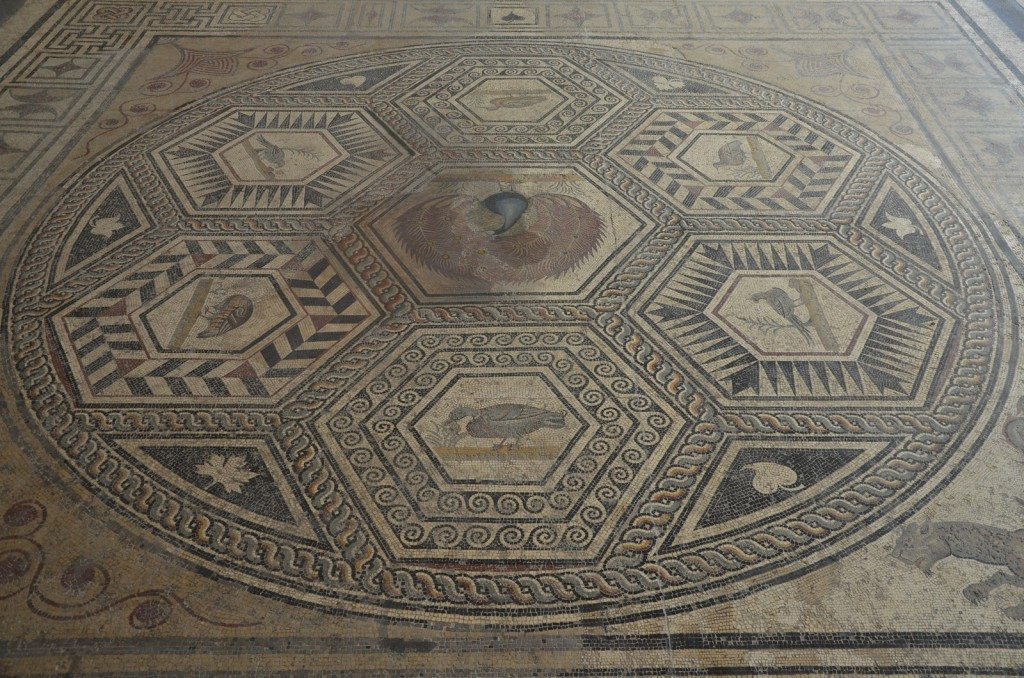 The Peacock Mosaic, middle of 2nd century CE, Musée Theo Desplan, Vaison-la-Romaine © Carole Raddato